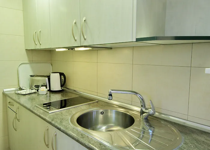 アパートホテル アパルタメントス アラルソ